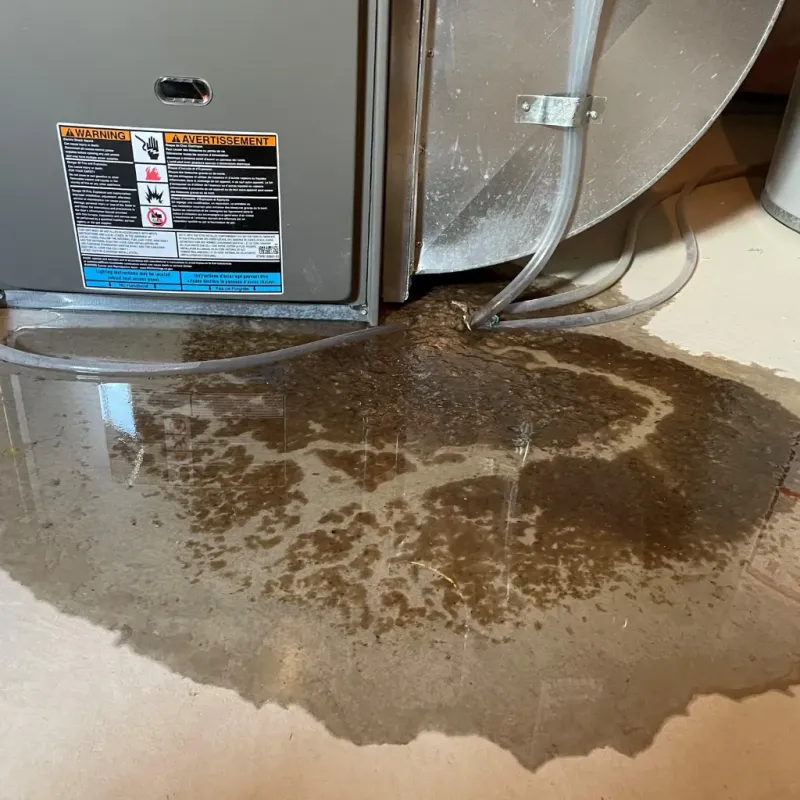 Appliance Leak Cleanup in Meridian Hills, IN